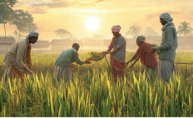Empowering farmers since 1966